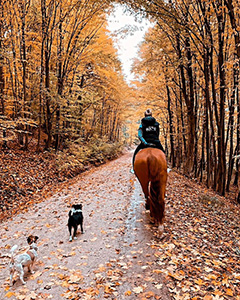 Reiten in der Freizeit