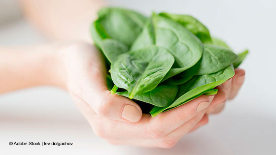 handvoll spinat