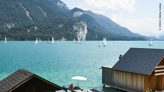 Bild von See in Österreich