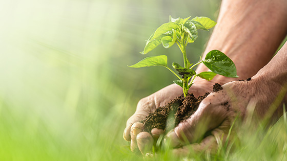 Nachhaltigkeitsbericht