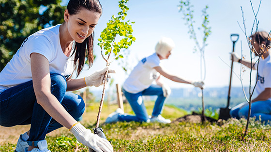 Nachhaltige Kooperationen, Mitgliedschaften
