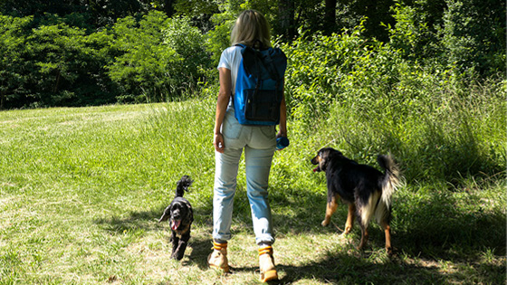 Frau mit Hunden im Wald