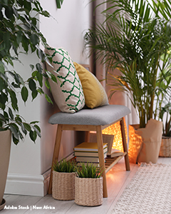 Dekoration im Urban Jungle-Stil