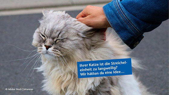 Mann installiert Überwachungskamera